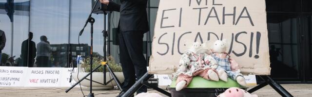 VIDEO ja FOTOD | Meeleavaldajad nõudsid superministeeriumi ees PTA juhi tagasiastumist_ asi pole sigades vaid sigadustes