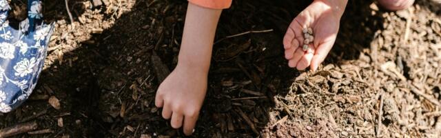 Noortalunikud saavad PRIAst taotleda kuni 100 000 eurot toetust