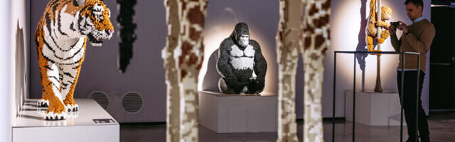 Galerii: rahvusvahelise klotsinäituse "Art of the Brick" avamine
