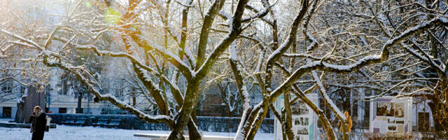 Ilm püsib talvine terve nädala