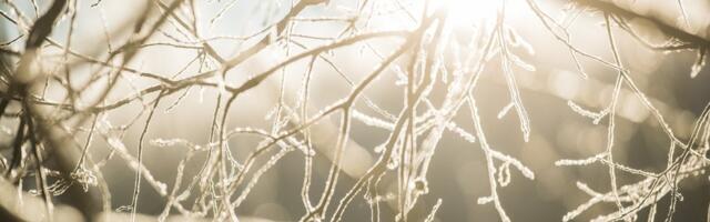 ILMATEADE | Täna paugub pakane, kuid päev tuleb päikeseline