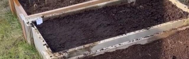 LAHE AED | Kasvuhoone külvikastidest saab kõige varasema saagi