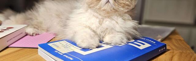 Keeltekool Kirjatäht 10: keeleõppest võib saada elumuutev kogemus