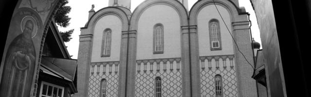 KOLUMN ⟩ Veiko Vihuri: kas valitsus kavandab populaarsuse tõstmiseks uut pronksiööd?