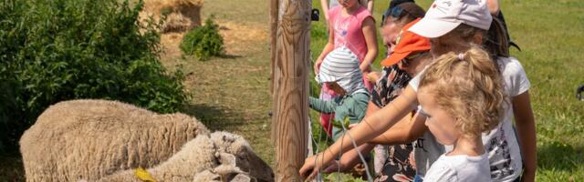 ÜLEVAADE | Selle nädalavahetuse üritused ja laadad mida tasub külastada