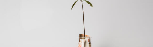 Ülevaade: milline pank pakub tähtajalise hoiuse eest parimat intressi?