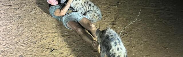 EKRE esitas arupärimise Keskkonnaameti “kiskjate” kohta, keda ergutatakse tuulikuvastaseid omavalitsusi “murdma”