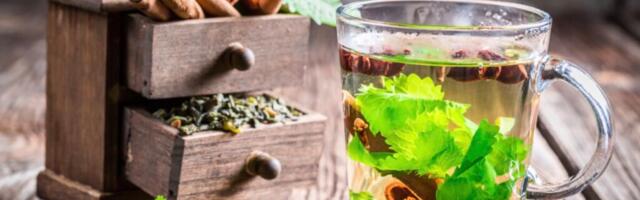 Parandage seedimist ja kõrvaldage kõhukinnisus ensüümide ja ravimtaimede abil