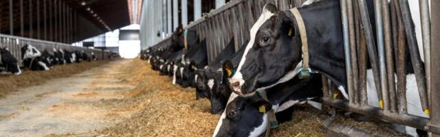 PRIA jagas 1,5 miljonit taudiennetuseks