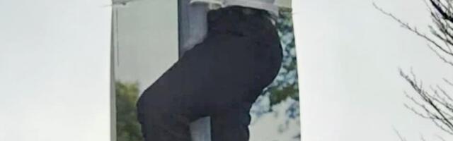 PILTUUDIS: Taani plakatid teevad Eesti omadele silmad ette