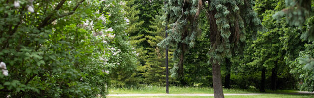 Tartu looduskaitsjad tahavad rohealasid liigse korrastamise eest kaitsta