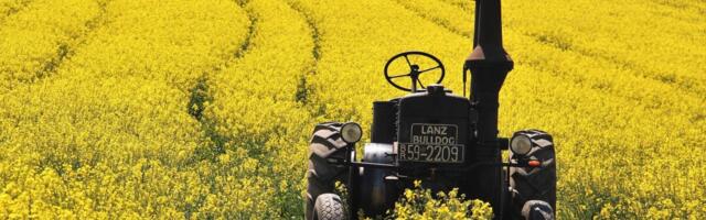 Kodumaise rapsiõli tootja rahustab toiduainetööstust: kogused on olemas nii tänaseks kui tulevikuks