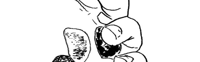 Vahram Muradyan Tartu Kunstimajas