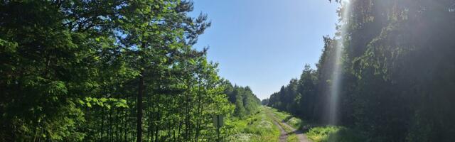 KOMMENTAARIDETA: Krillimäe maastikukaitseala 5. juunil 2024