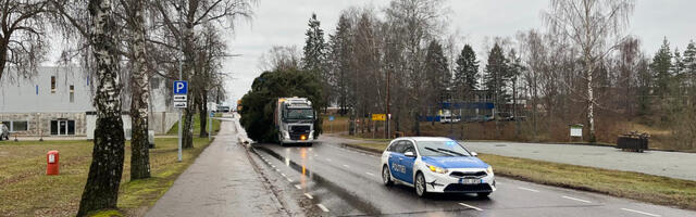 Talvepealinna Otepääle saabus jõulupuu