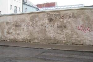 Sõna ökoloogiline valik