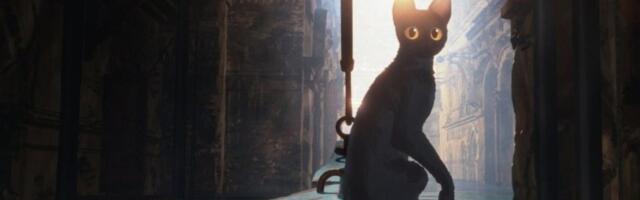 Läti kass maailma vastu: kõik, mida teada tänavustest Oscari-nominatsioonidest