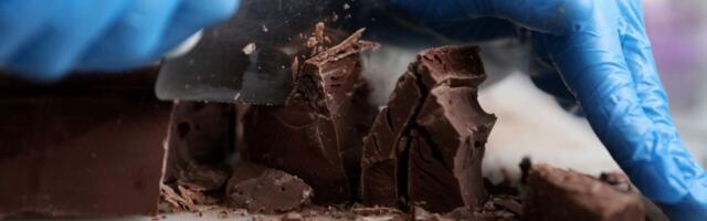 8 euroga šokolaaditahvlit müüv Kalev: varsti vaatame hinnad üle