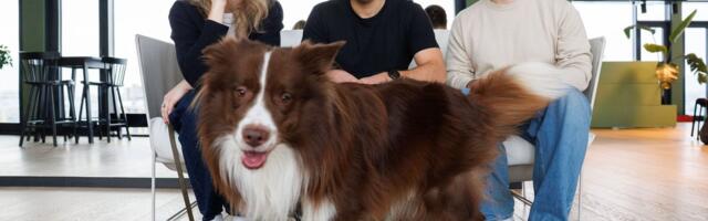 Veriffi kaasasutaja uus tehisaruäri. Isiklik karjääriagent muudab värbamisloogikat