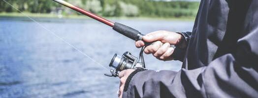 Vimb ja jõesilm on leidnud tagasitee Pärnu jõkke