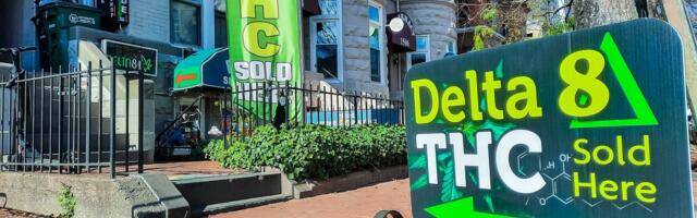 Põhjamaade eksperdid: kanepi legaliseerimine Saksamaal oli viga, mida meil mitte korrata