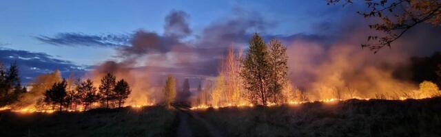 FOTOD | Virumaa ägab metsapõlengute all: üks sai kustutatud, kui algas järgmine