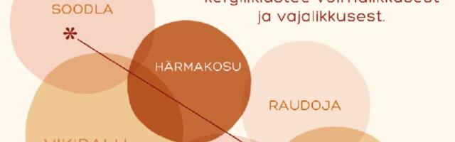 Anija Vallavalitsuse kutse rahvakoosolekule Kõrvemaa-Soodla kergliiklustee