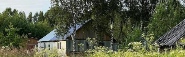 Venemaal hakatakse abielupaaridele tasuta krunte jagama