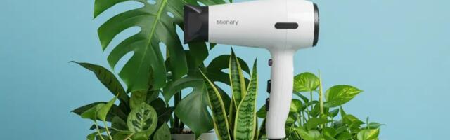 Miks on nii paljud hakanud kasutama fööni toataimede puhastamiseks: siin on põhjus