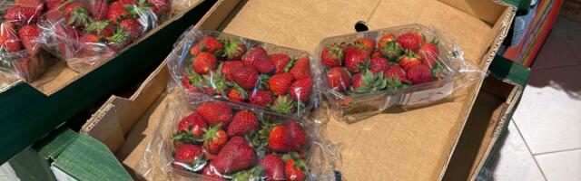 PILTUUDIS: maasika hind Poolas