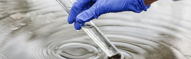 Harku järvest võetud proovist leiti sinivetikaid