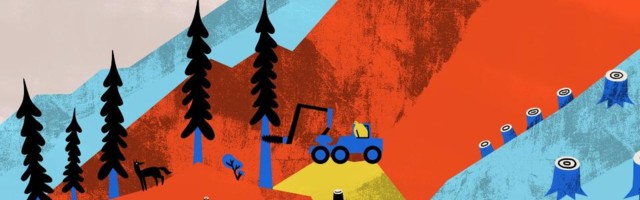 Keskkonnakolumn: Me oleme end kaitsev loodus