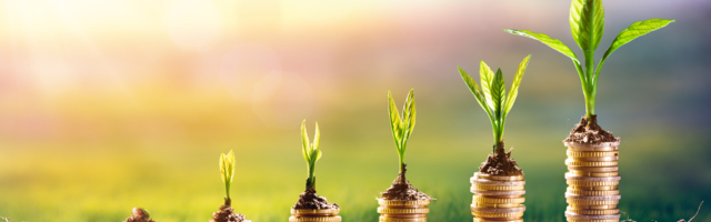 Keit Kasemets: uus eelarve muudab Eesti ja Euroopa tugevamaks