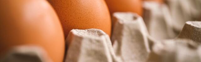 Läti munatootja panustas taastuvelektrile