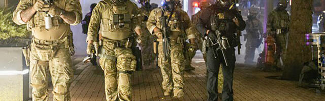 Kaitseministeeriumi ettepanekul on tulevikus võimalik ka liitlasi kaasata „roheliste mehikestega“ tegelemiseks