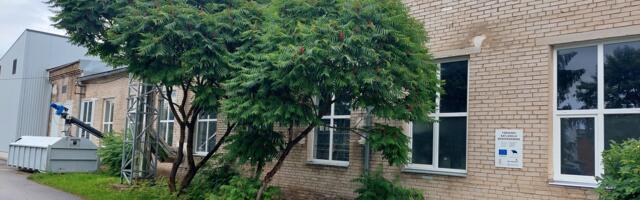 25. juulil on Tõrvandis katkestatud soojusenergia edastamine