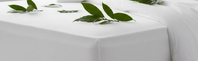 Loorberileht madratsil: mis öösel toimub – meie esivanemate iidne komme, mis võlub ka tänapäeval