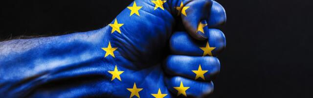 Karol Kallas: Euroopa Liidu kriisid on eesmärgipärane tegevuskava