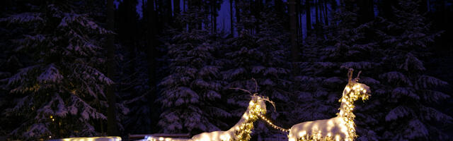 Tori vallas toimub „Talvemeeleolu“ konkurss