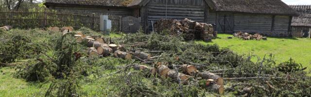 Peotuli võib süttida: Järvamaa kultuurihiies Vargamäel toimusid talgud