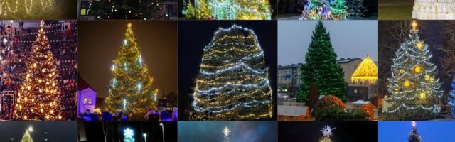 SUUR JÕULUPUUDE ÜLEVAADE | Milline pühadepuu on sinu lemmik?