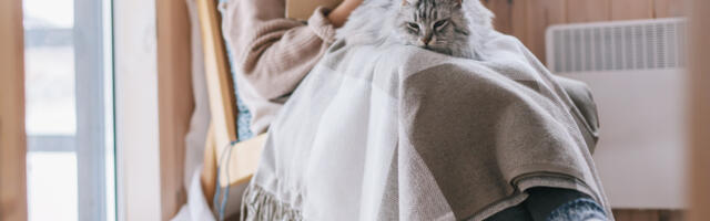 Õhksoojuspump tuleks raha säästmise huvides infrapunapaneelide vastu välja vahetada – müüt või tõsilugu?