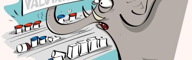 Keset apteeki seisavad tüsedad elevandid