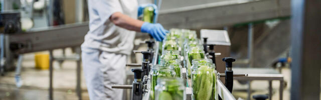 Põltsamaal pannakse purki 2 miljonit kilo kurki, kõrvitsat ja kapsast