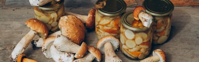 ÕPETUS | Seente hapendamine, marineerimine, konserveerimine ja soolamine