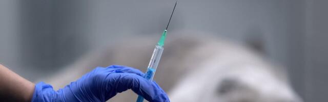 Valdar Parve: kuidas peaksime suhtuma loomade eutaneerimisse?