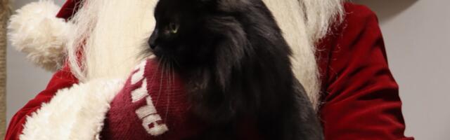 Loomade varjupaigas käis jõuluvana