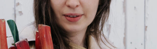 EESTLANNA PÕNEV TEEKOND rahvusvaheliseks toidublogijaks