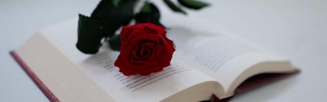 36. Liivi etluskonkursi laureaat on Emma Gogoleva Tartu Waldorfgümnaasiumist