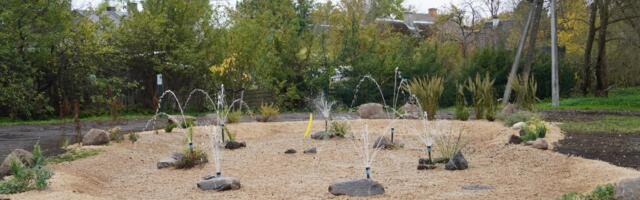 Valga-Valka piiril avati hajureostuse vähendamiseks rajatud looduslik filter